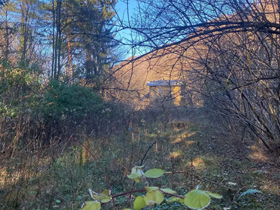 Immagine 18 di Terreno edificabile in vendita  a Valganna