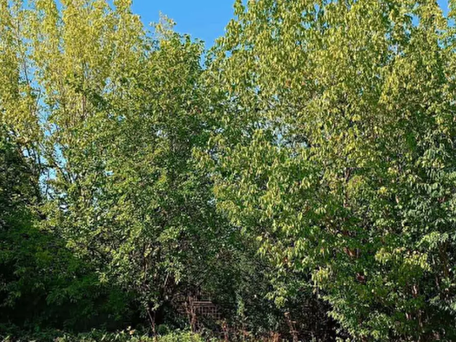 Immagine 2 di Terreno edificabile in vendita  in Via Maria Bellonci a Mantova