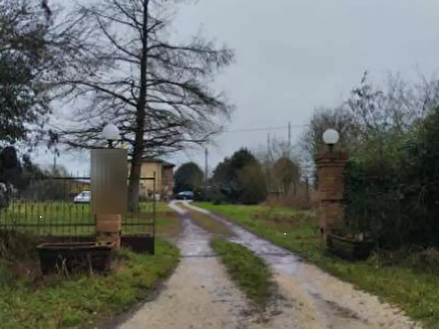 Immagine 3 di Villa in vendita  in Via Barenassa a Chioggia