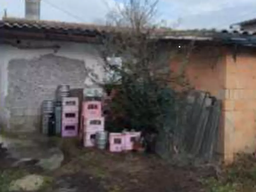 Immagine 5 di Villa in vendita  in Via Barenassa a Chioggia