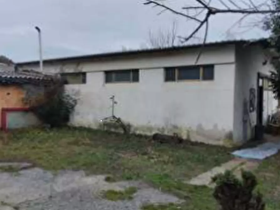 Immagine 7 di Villa in vendita  in Via Barenassa a Chioggia