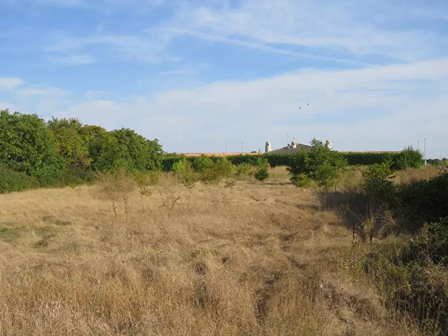 Immagine 8 di Villa in vendita  in  Via Ca De Micheli  a Sanguinetto