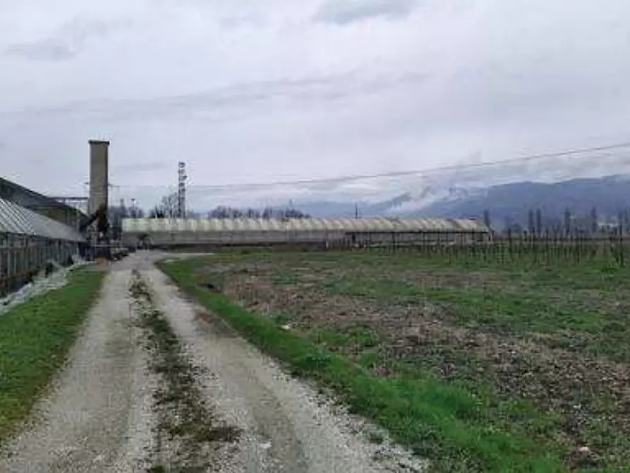 Immagine 24 di Porzione di casa in vendita  in Via Palù a Cordignano