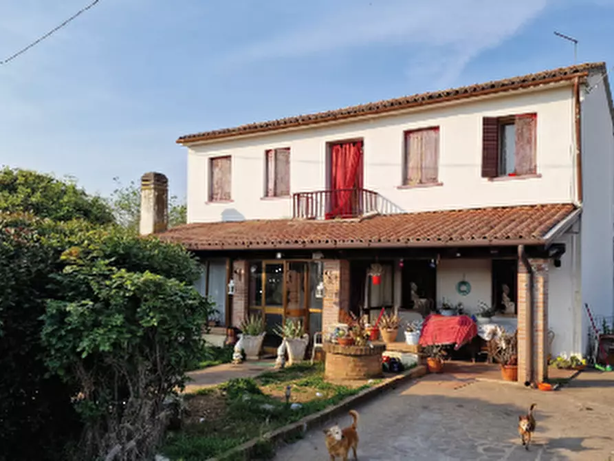 Immagine 3 di Casa indipendente in vendita  in Via San Rocco a Montebelluna