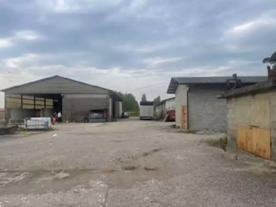 Immagine 4 di Rustico / casale in vendita  in Via Pramorin a Portogruaro