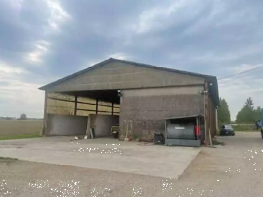 Immagine 5 di Rustico / casale in vendita  in Via Pramorin a Portogruaro