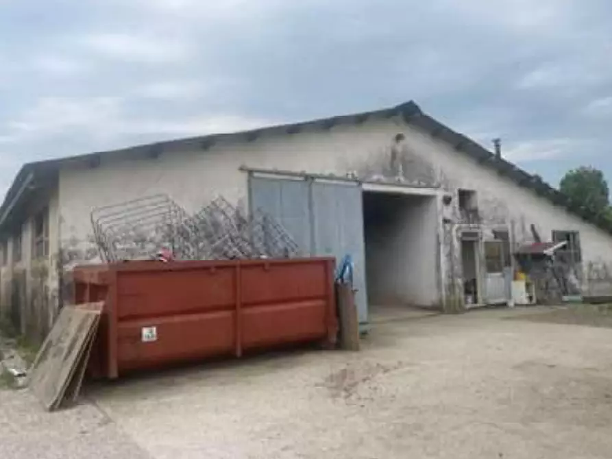 Immagine 6 di Rustico / casale in vendita  in Via Pramorin a Portogruaro