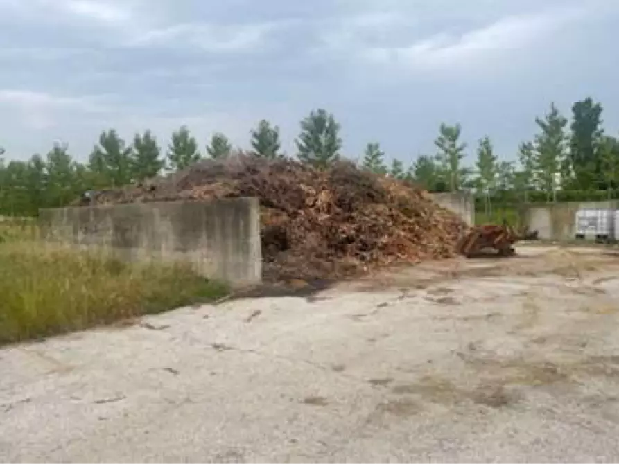 Immagine 8 di Rustico / casale in vendita  in Via Pramorin a Portogruaro