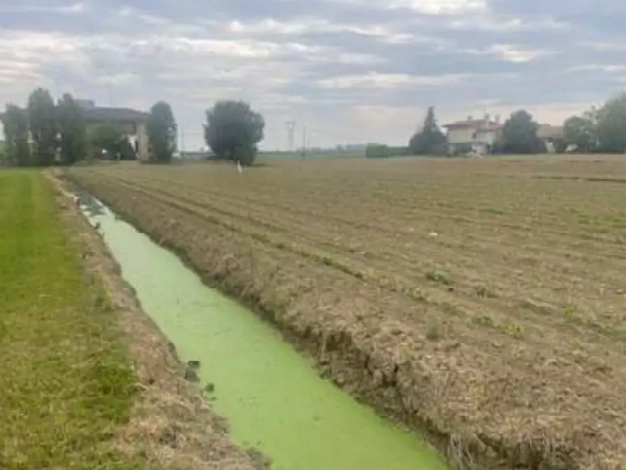 Immagine 10 di Rustico / casale in vendita  in Via Pramorin a Portogruaro