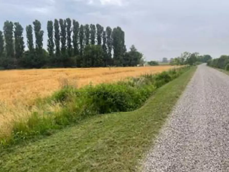 Immagine 1 di Terreno agricolo in vendita  in Via Pramorin a Portogruaro