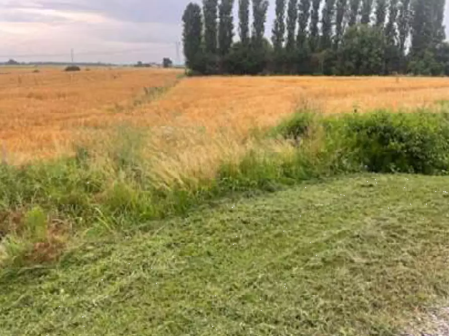Immagine 2 di Terreno agricolo in vendita  in Via Pramorin a Portogruaro