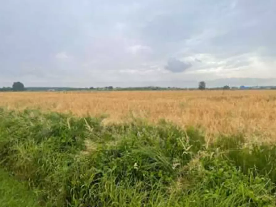 Immagine 1 di Terreno agricolo in vendita  in Via Pramorin a Portogruaro