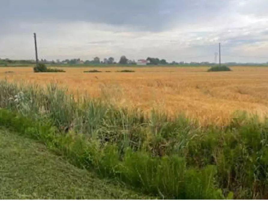 Immagine 2 di Terreno agricolo in vendita  in Via Pramorin a Portogruaro