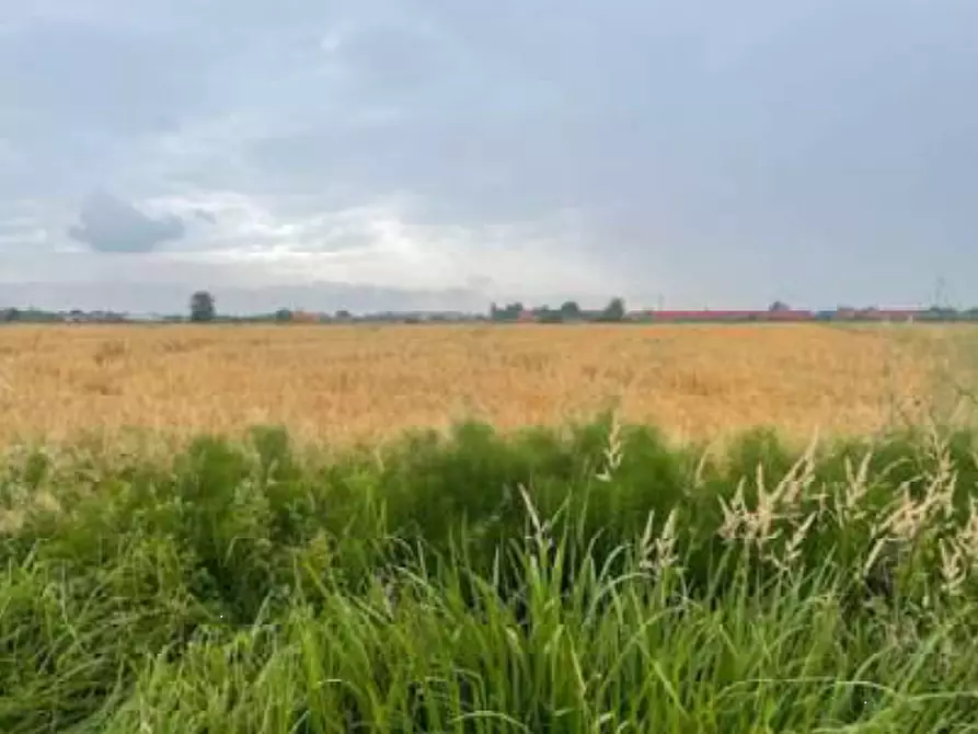 Immagine 3 di Terreno agricolo in vendita  in Via Pramorin a Portogruaro