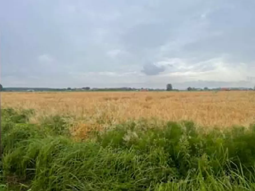 Immagine 4 di Terreno agricolo in vendita  in Via Pramorin a Portogruaro