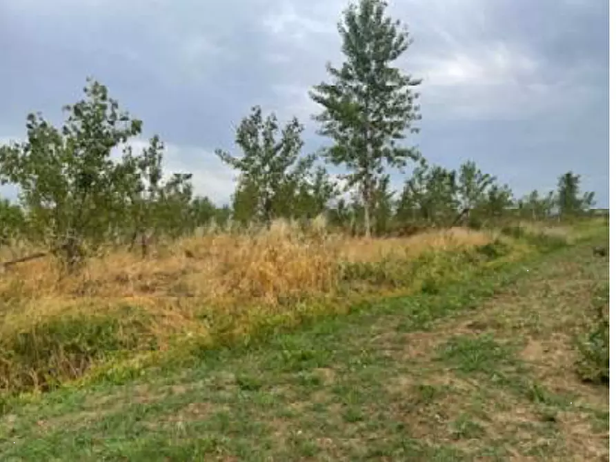 Immagine 3 di Terreno agricolo in vendita  in Via Pramorin a Portogruaro