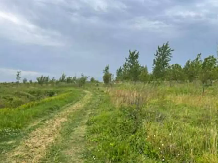 Immagine 8 di Terreno agricolo in vendita  in Via Pramorin a Portogruaro