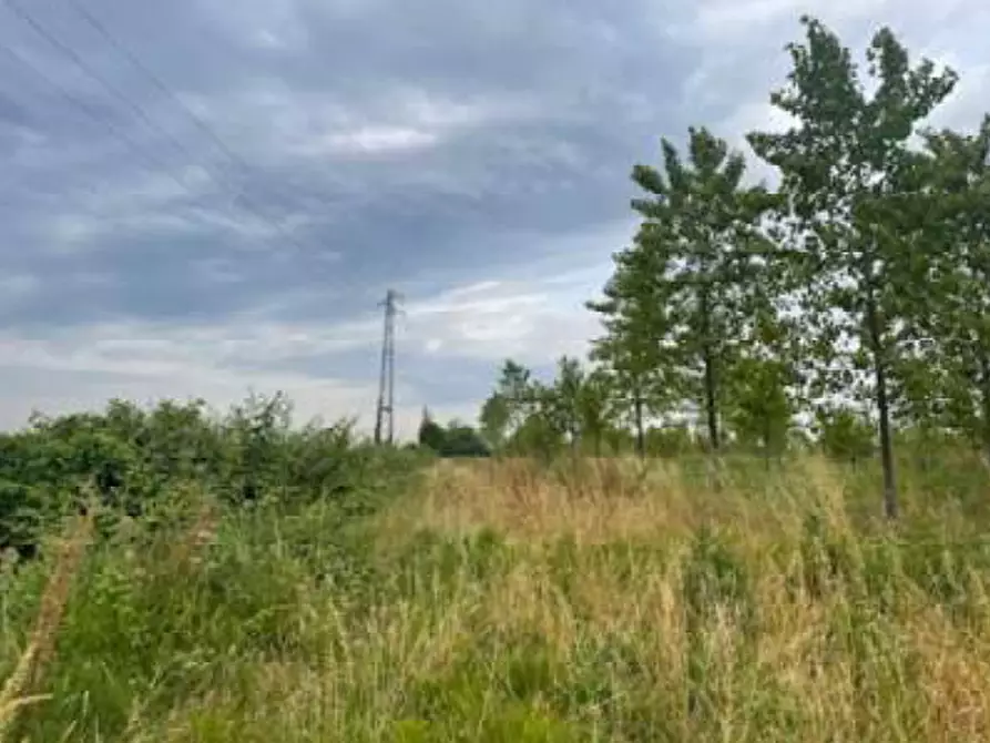 Immagine 10 di Terreno agricolo in vendita  in Via Pramorin a Portogruaro