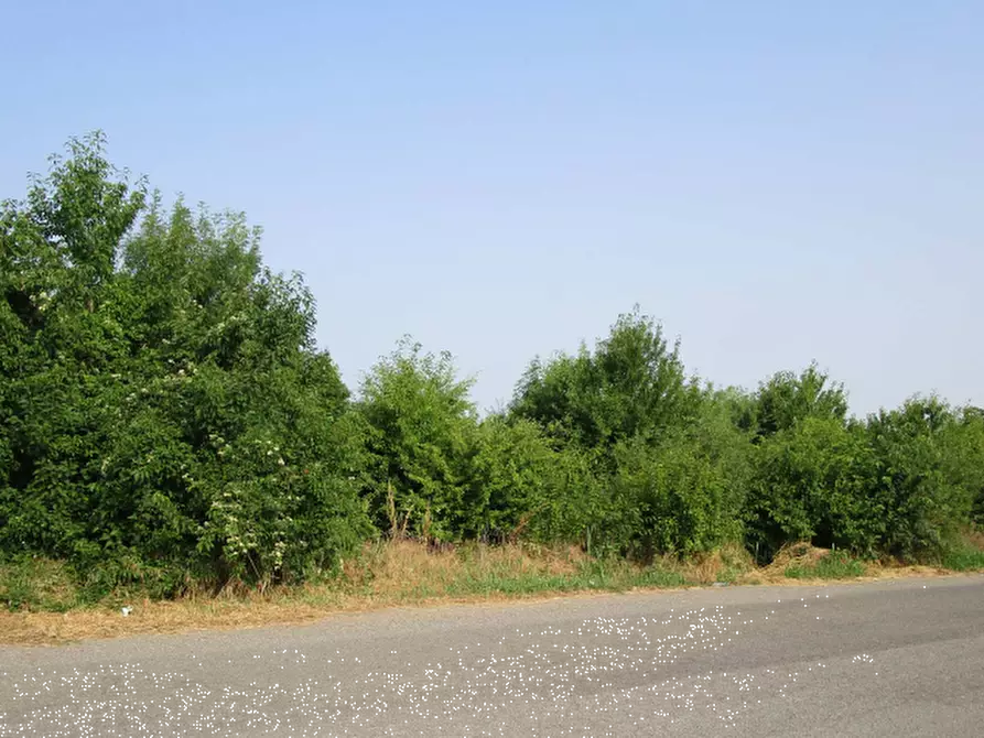 Immagine 8 di Terreno edificabile in vendita  in Str. Privata Archimede a Rivanazzano