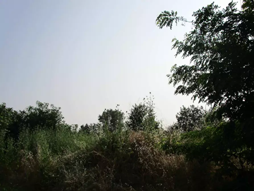 Immagine 9 di Terreno edificabile in vendita  in Str. Privata Archimede a Rivanazzano