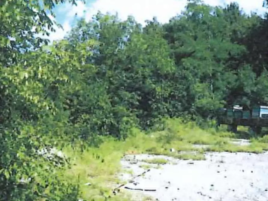 Immagine 1 di Terreno agricolo in vendita  in Località Prà a Cerro Veronese