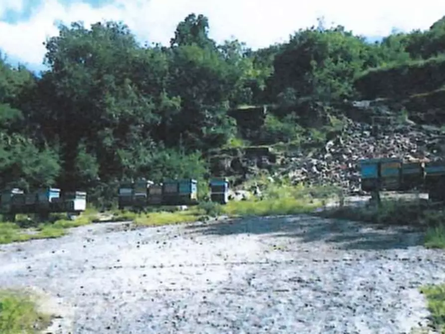 Immagine 2 di Terreno agricolo in vendita  in Località Prà a Cerro Veronese