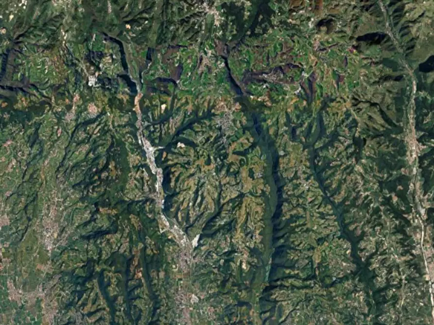 Immagine 5 di Terreno agricolo in vendita  in Località Prà a Cerro Veronese