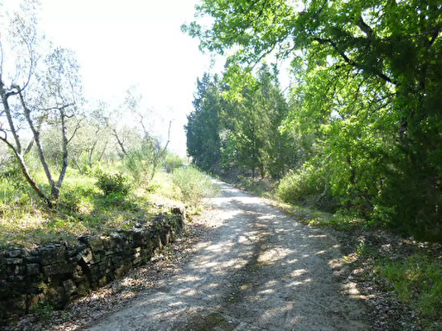 Immagine 10 di Casa indipendente in vendita  in Via San Martino in Cecione a Greve In Chianti