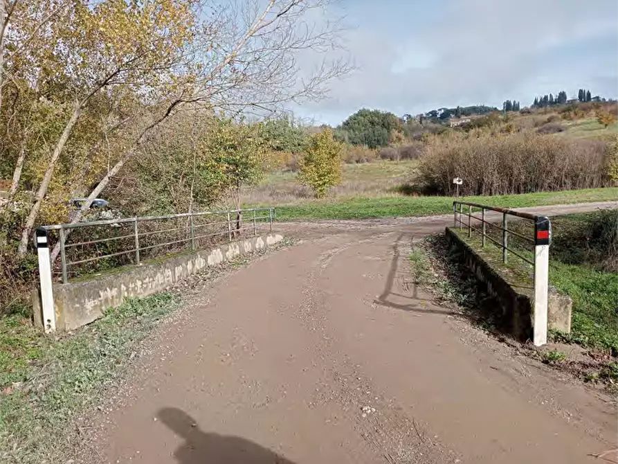 Immagine 6 di Azienda agricola in vendita  in Strada Vicinale delle Lame a Bagno A Ripoli