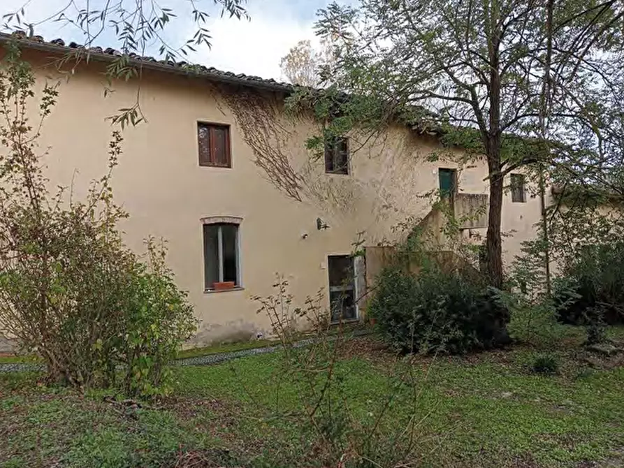 Immagine 3 di Azienda agricola in vendita  in Strada Vicinale delle Lame a Bagno A Ripoli