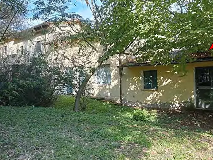 Immagine 7 di Azienda agricola in vendita  in Strada Vicinale delle Lame a Bagno A Ripoli