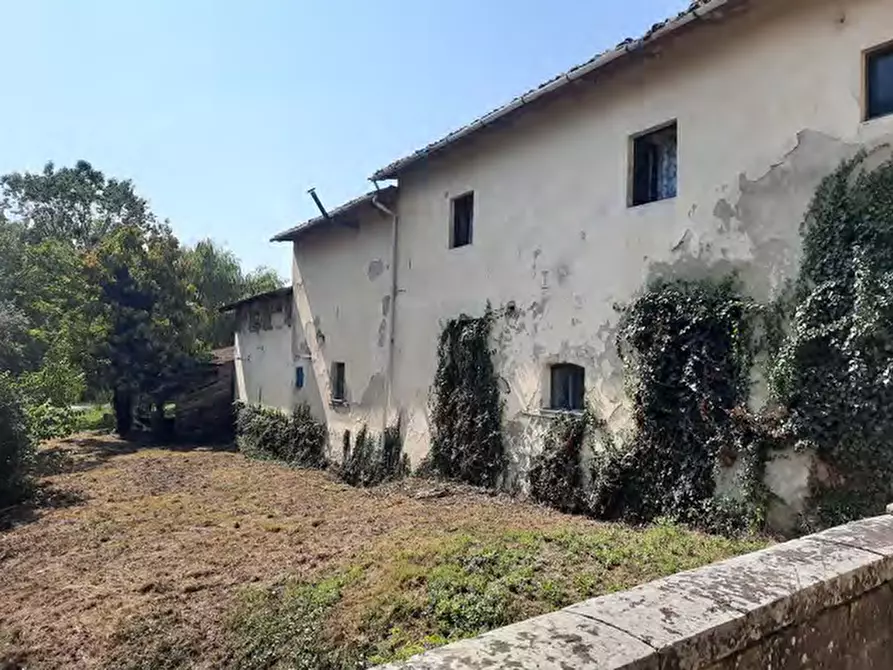 Immagine 8 di Azienda agricola in vendita  in Strada Vicinale delle Lame a Bagno A Ripoli