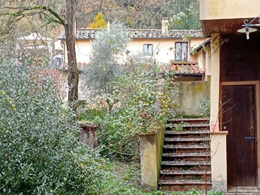 Immagine 10 di Azienda agricola in vendita  in Strada Vicinale delle Lame a Bagno A Ripoli