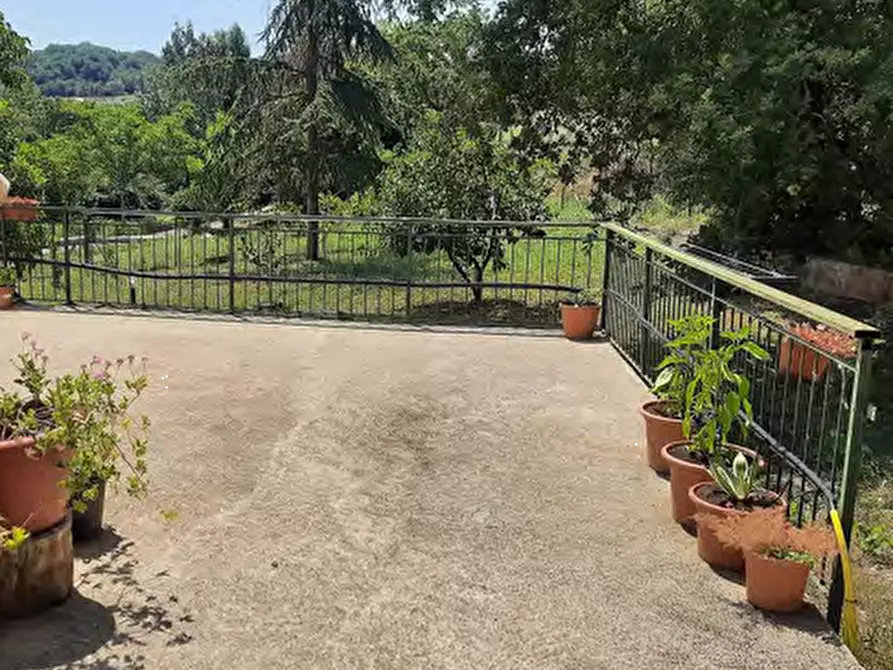 Immagine 13 di Azienda agricola in vendita  in Strada Vicinale delle Lame a Bagno A Ripoli