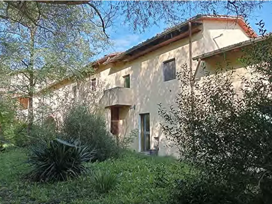 Immagine 14 di Azienda agricola in vendita  in Strada Vicinale delle Lame a Bagno A Ripoli