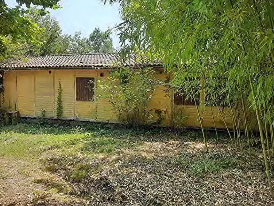 Immagine 18 di Azienda agricola in vendita  in Strada Vicinale delle Lame a Bagno A Ripoli