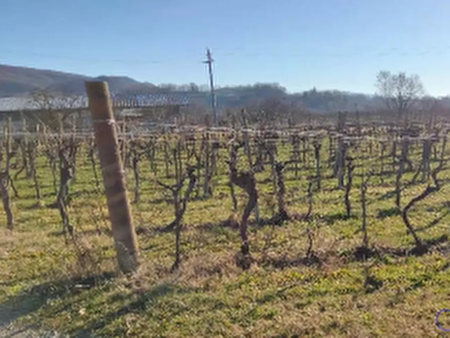 Immagine 3 di Terreno agricolo in vendita  in Via Collevillano a Faedis