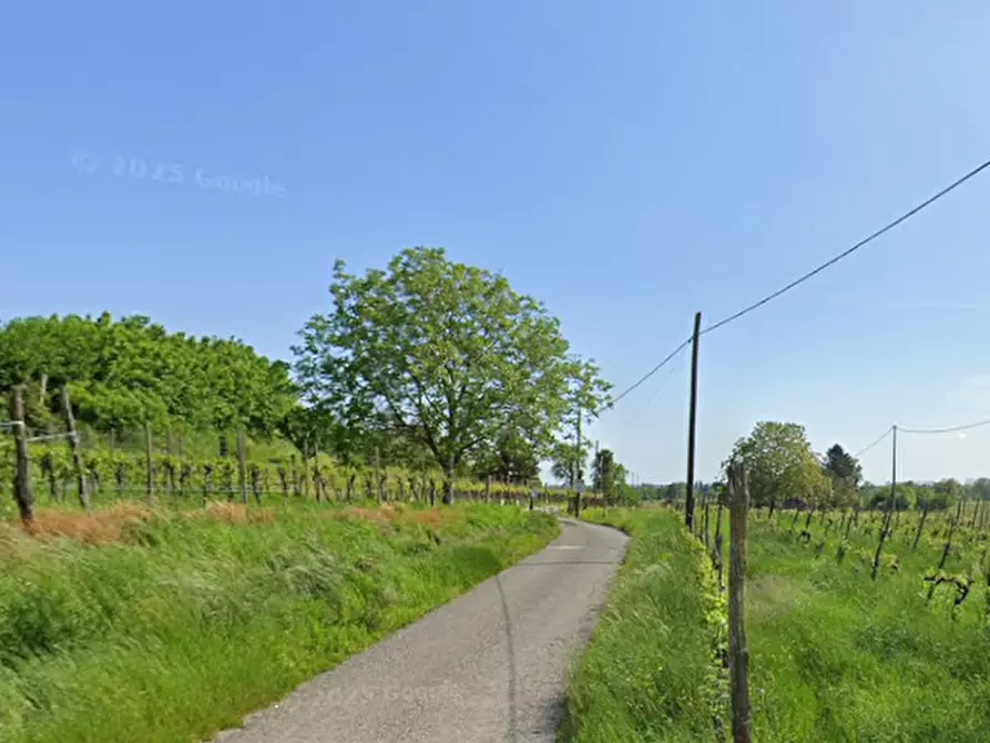 Immagine 9 di Terreno agricolo in vendita  in Via Collevillano a Faedis