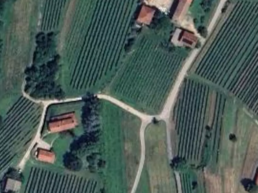 Immagine 13 di Terreno agricolo in vendita  in Via Collevillano a Faedis