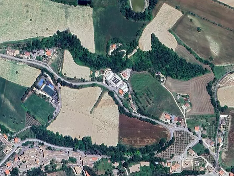 Immagine 2 di Capannone industriale in vendita  in Via Ete a Monsampietro Morico