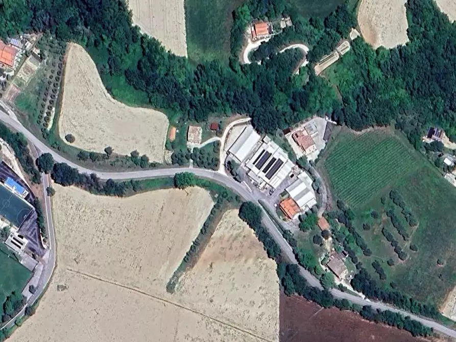 Immagine 1 di Terreno agricolo in vendita  in Via Ete a Monsampietro Morico