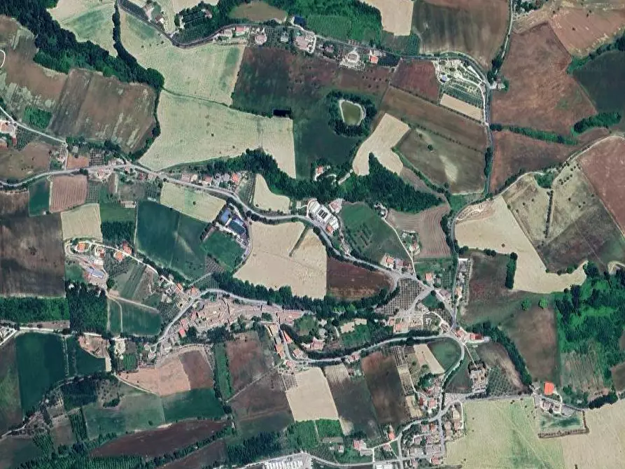 Immagine 3 di Terreno agricolo in vendita  in Via Ete a Monsampietro Morico