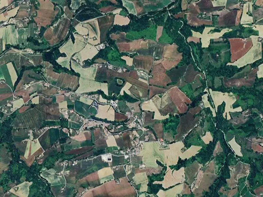 Immagine 4 di Terreno agricolo in vendita  in Via Ete a Monsampietro Morico