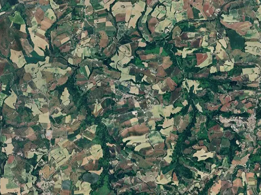 Immagine 5 di Terreno agricolo in vendita  in Via Ete a Monsampietro Morico