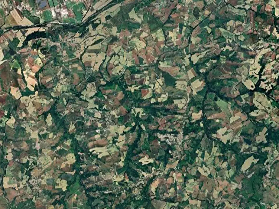 Immagine 6 di Terreno agricolo in vendita  in Via Ete a Monsampietro Morico