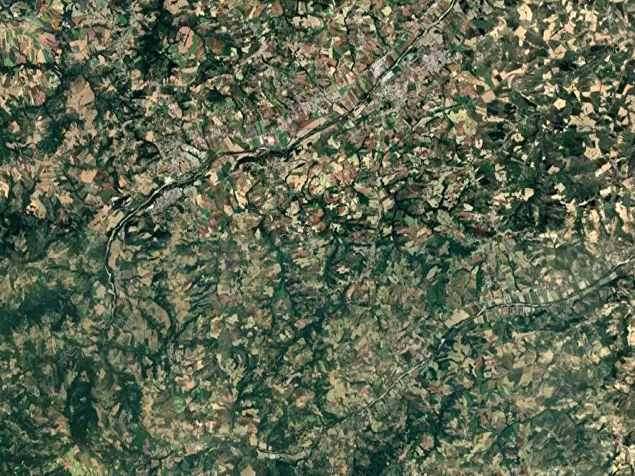 Immagine 7 di Terreno agricolo in vendita  in Via Ete a Monsampietro Morico