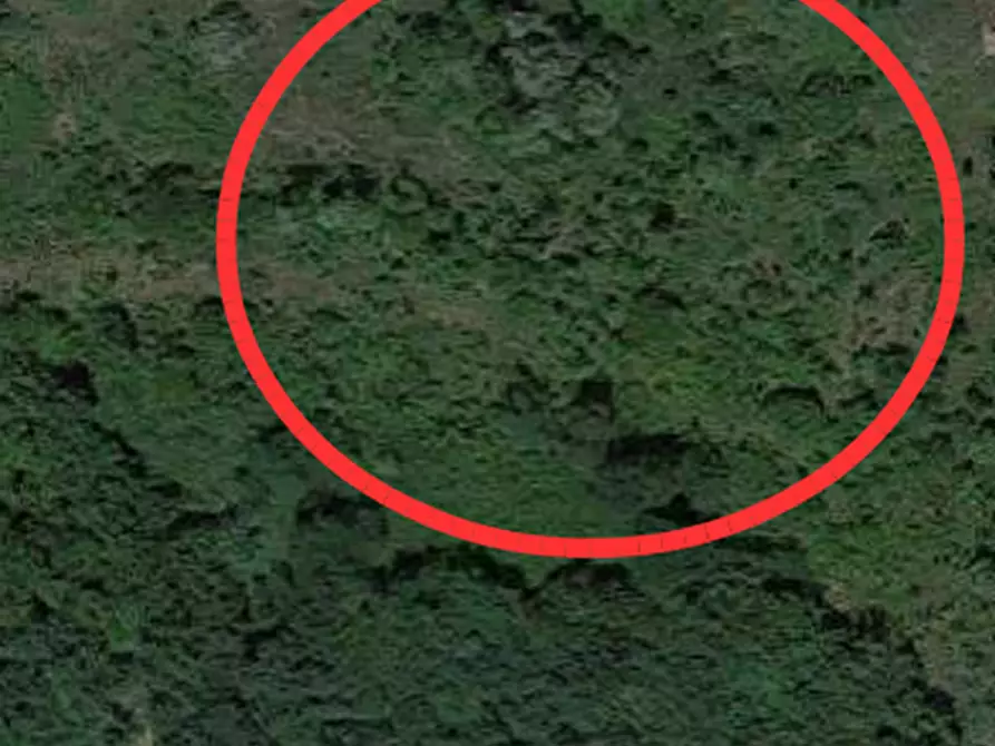 Immagine 1 di Terreno agricolo in vendita  in Località Ca Zollera a San Leo