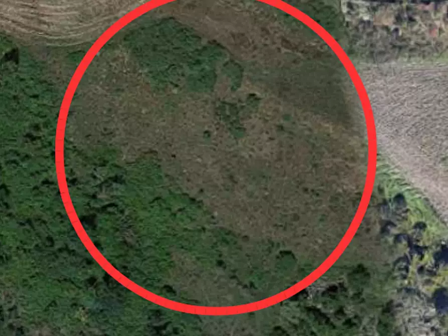 Immagine 1 di Terreno agricolo in vendita  in Località Ca Zollera a San Leo