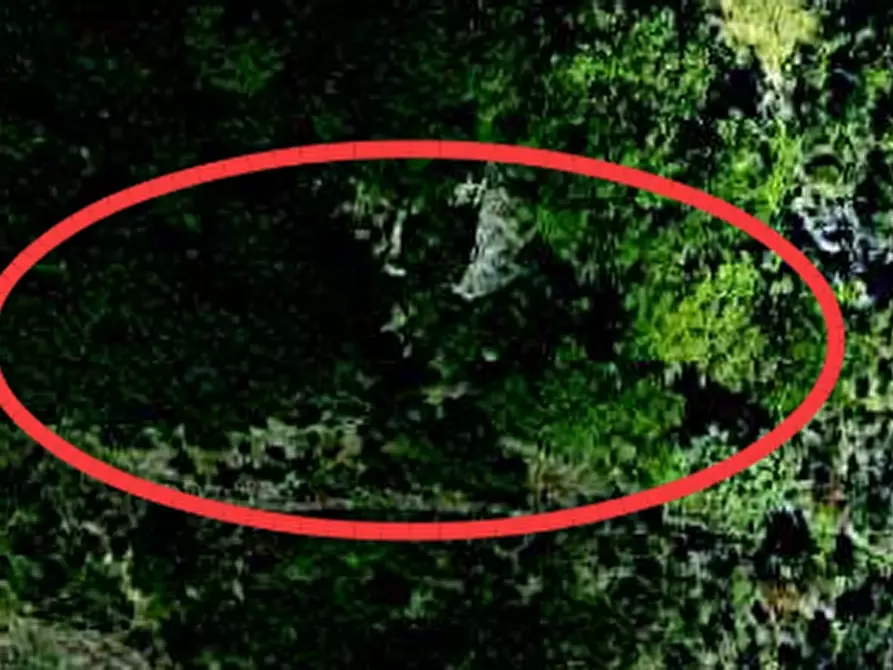 Immagine 1 di Terreno agricolo in vendita  in località La Zollera di Sopra a San Leo