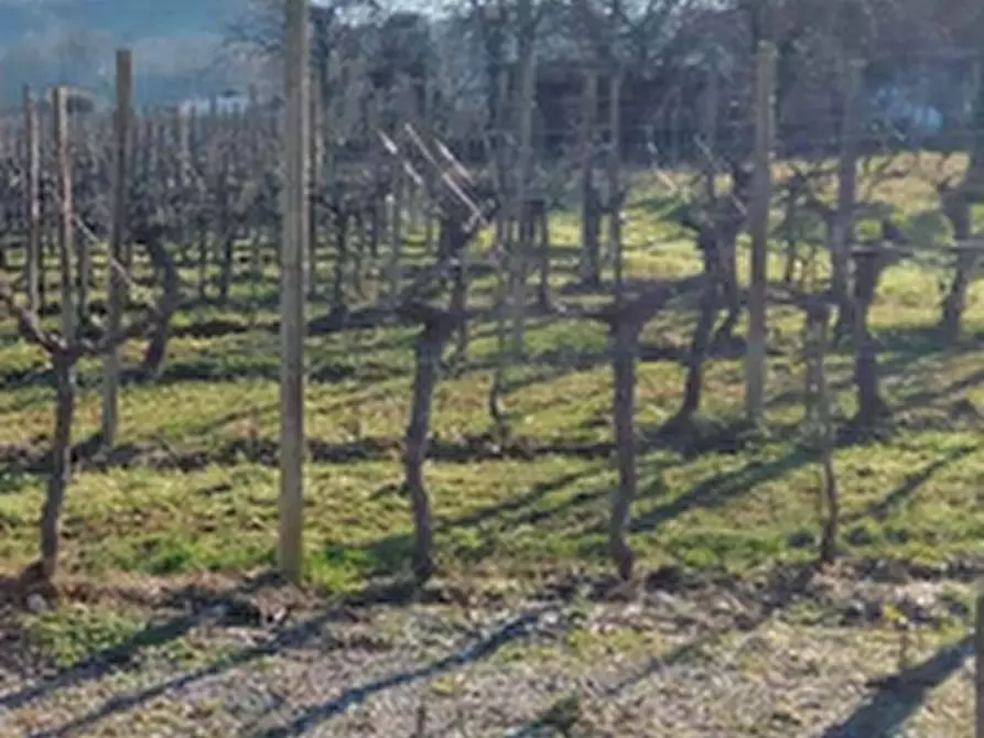 Immagine 2 di Villa in vendita  in Via Collevillano a Faedis